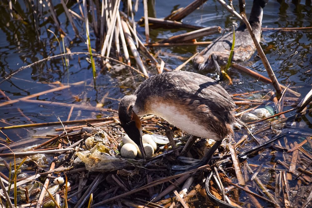 Photograph by Elvira