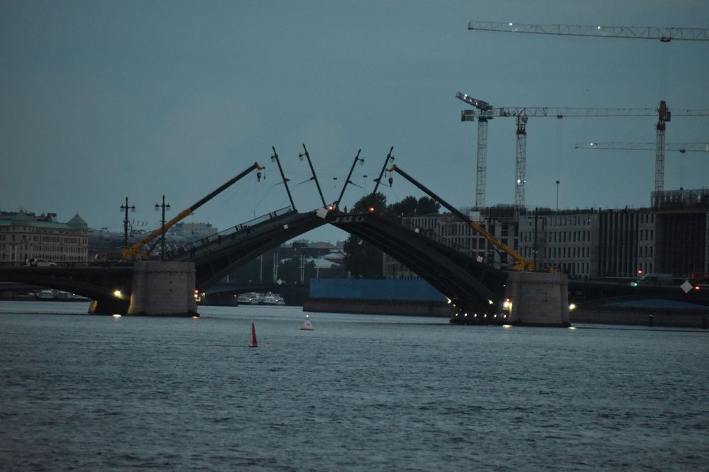 Photograph by Elvira