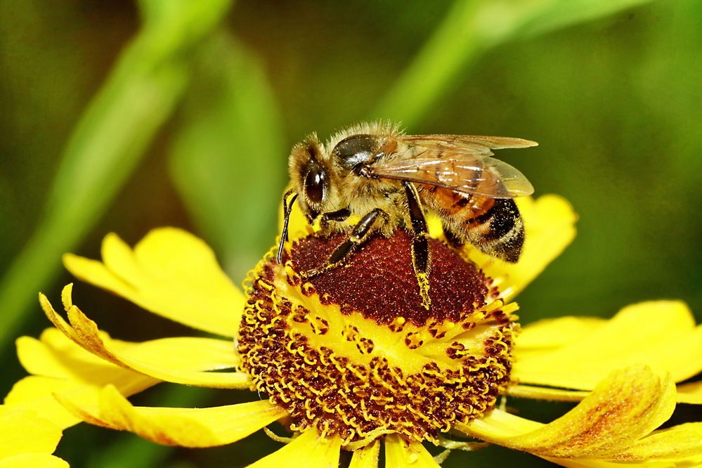 Photograph by Александр Лазебник
