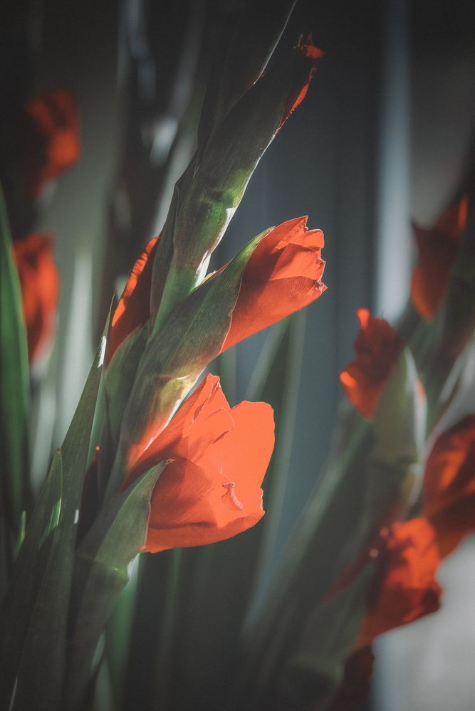 Photograph by Budyta Dariusz