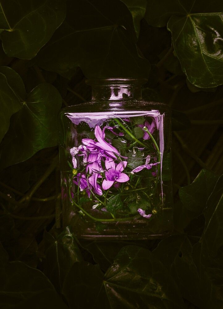 Фотография автора Ксения Шляйхер