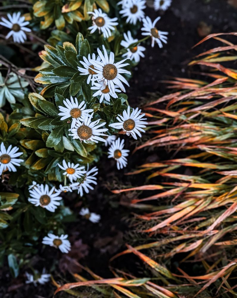 Фотография автора Ксения Шляйхер