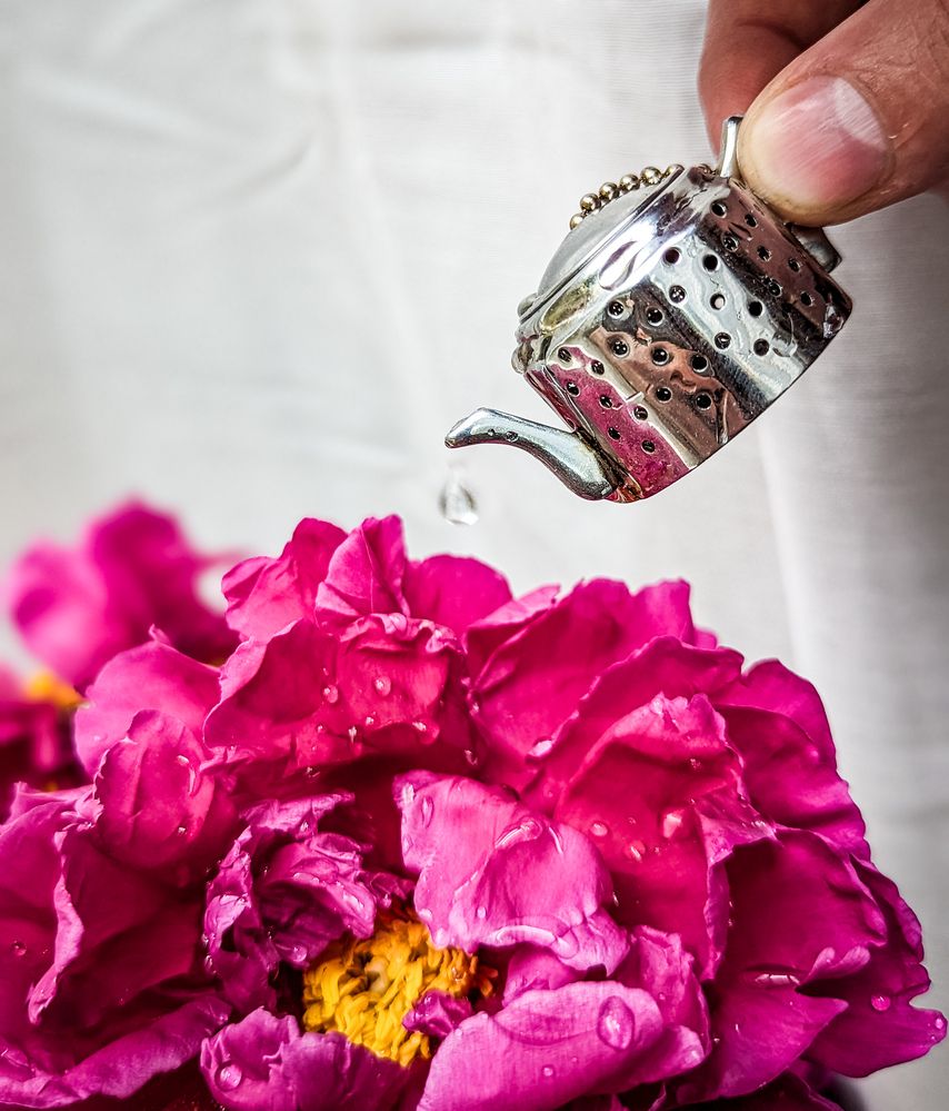 Фотография автора Ксения Шляйхер