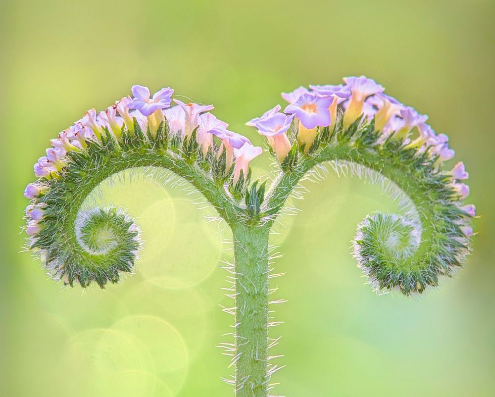 Photograph by QUYẾT TRỌNG NGUYỄN