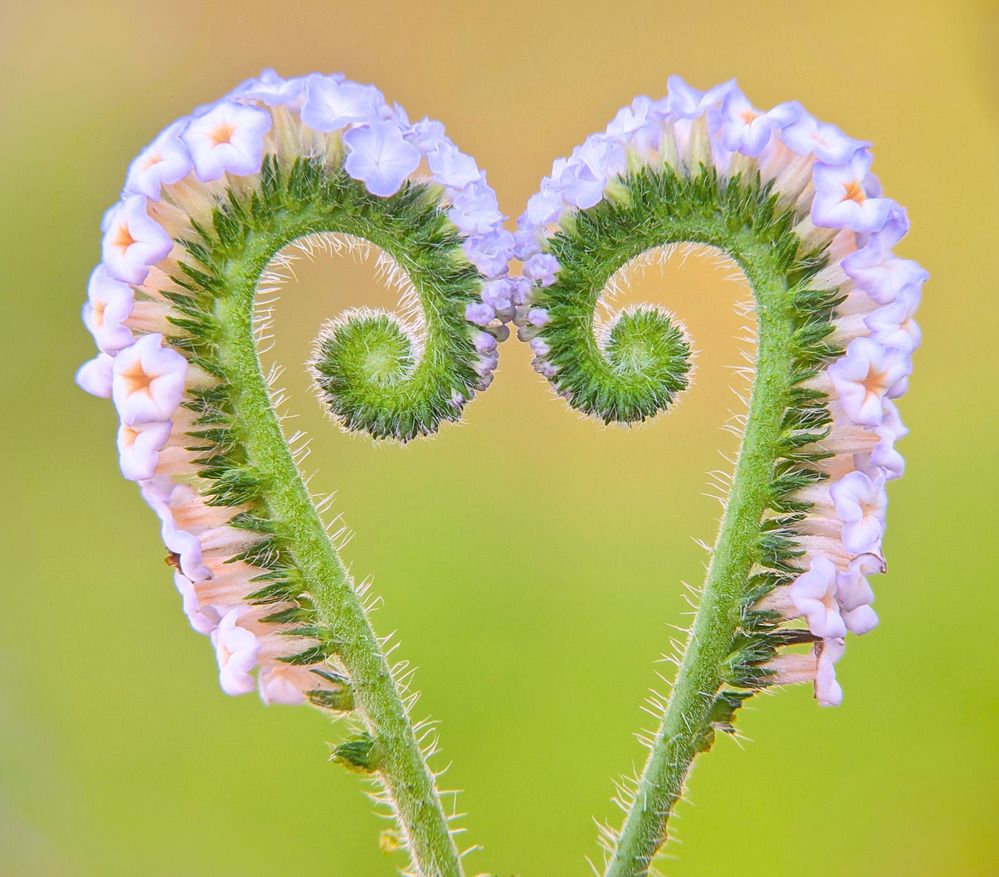 Photograph by QUYẾT TRỌNG NGUYỄN