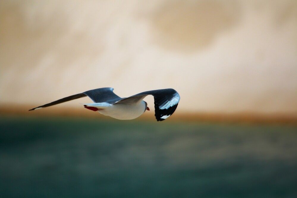 Photograph by Gr Marie