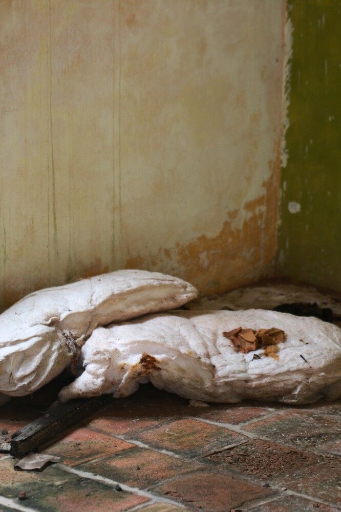 Photograph by Gr Marie