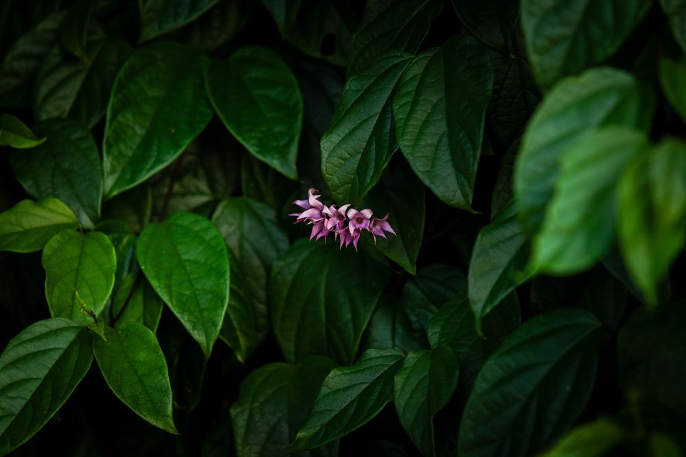 Фотография автора Marcelo Vaz