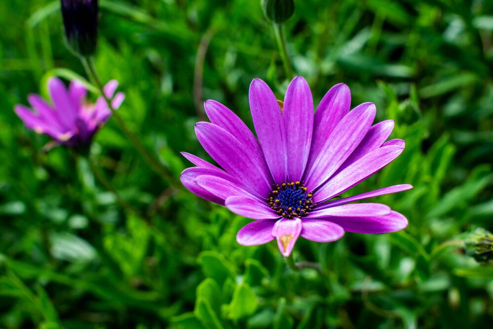 Фотография автора Jose Marcos Carvajal Tarazona