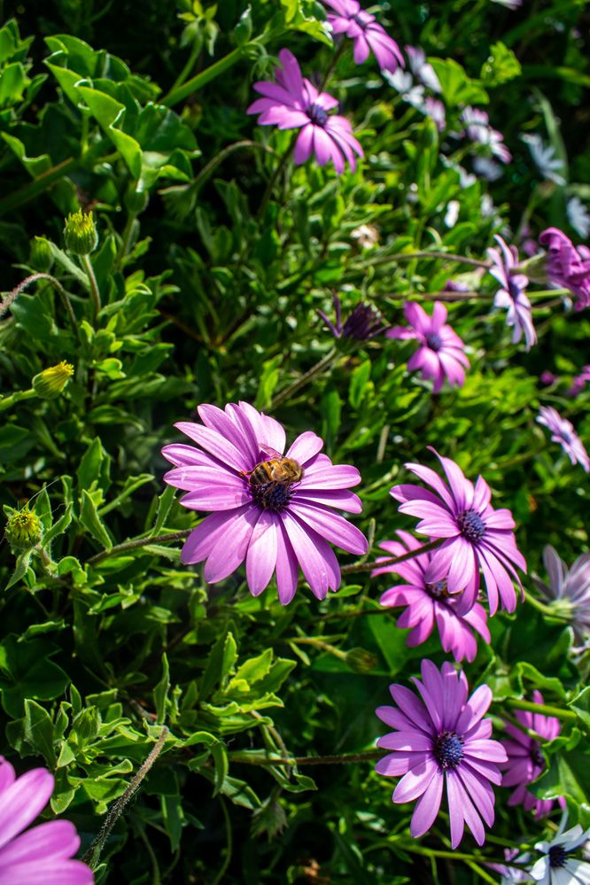 Фотография автора Jose Marcos Carvajal Tarazona