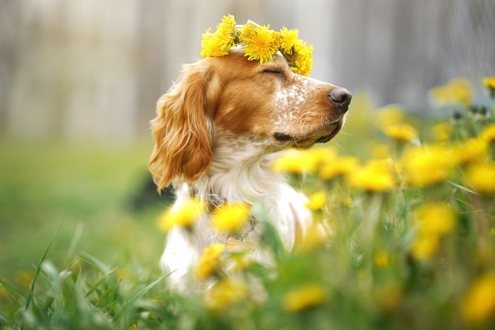 Photograph by Julia Moiseenko