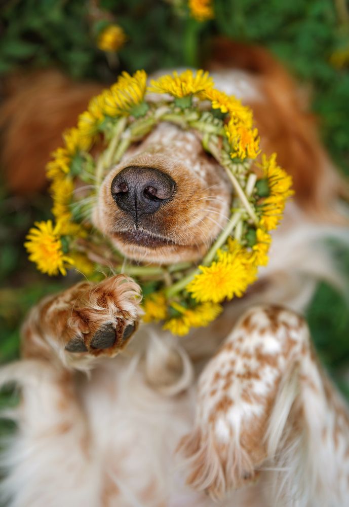 Photograph by Julia Moiseenko