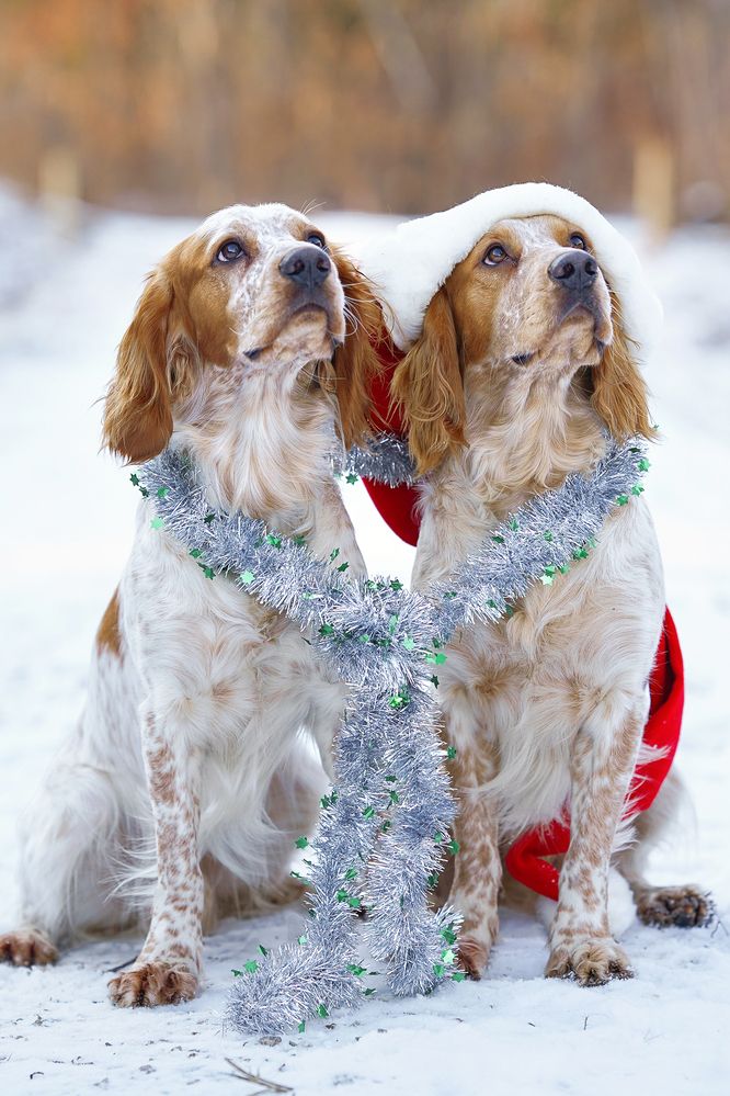 Photograph by Julia Moiseenko