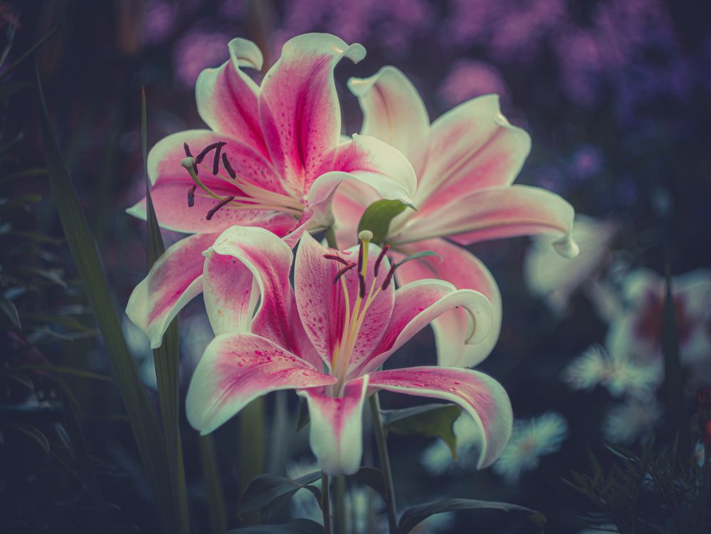 Photograph by Ekaterina Fadeeva