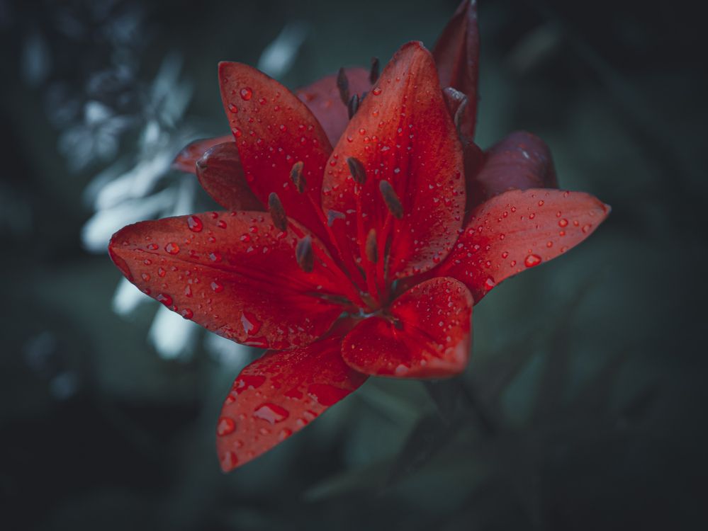 Photograph by Ekaterina Fadeeva