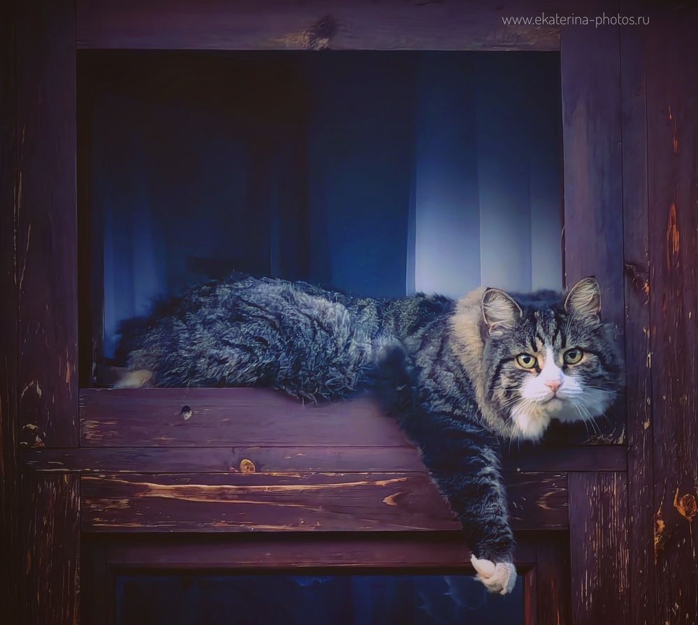 Photograph by Ekaterina Fadeeva