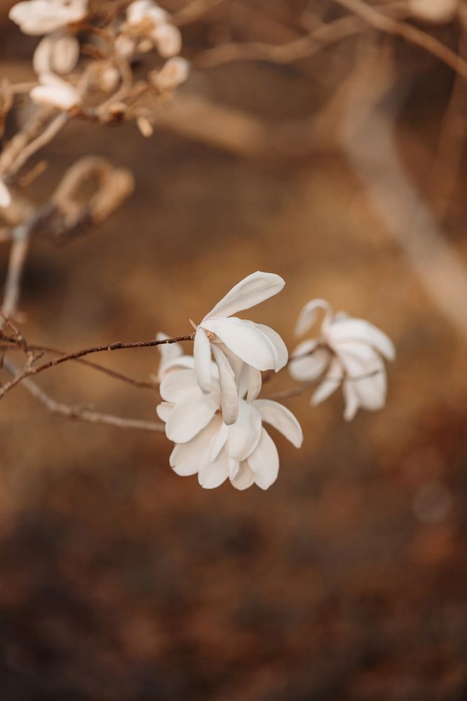 Photograph by Юлия Коротких