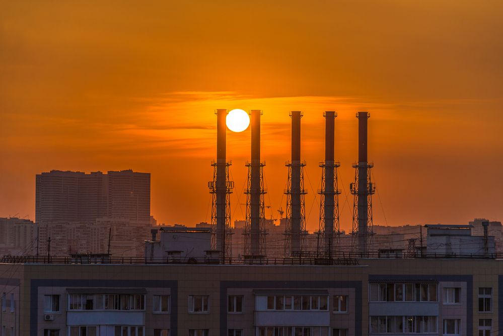 Photograph by Tatyana