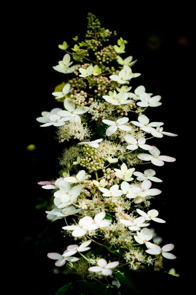 Photograph by Олег Каракин