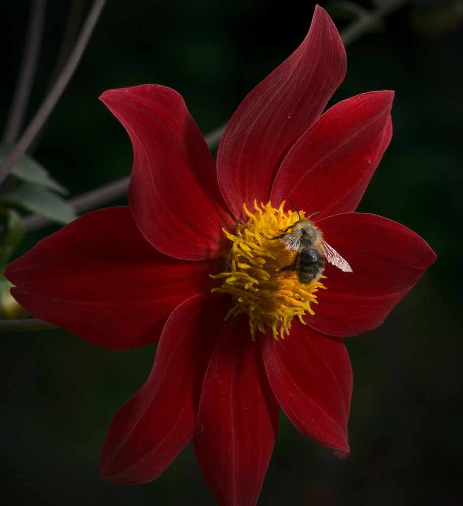 Photograph by Олег Каракин