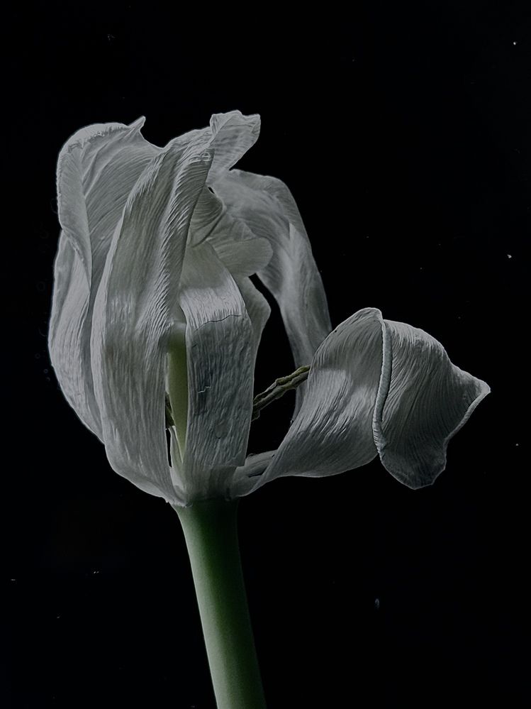 Photograph by Бороздина Мария