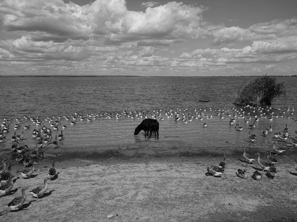 Фотография автора Сергей Вдовин