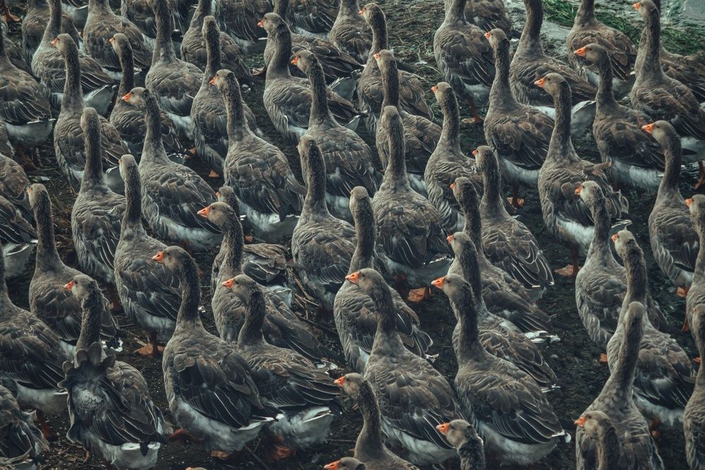 Фотография автора Сергей Вдовин