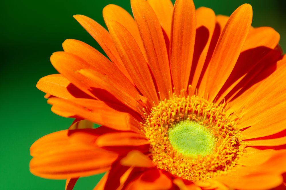 Фотография автора Denis Michelin