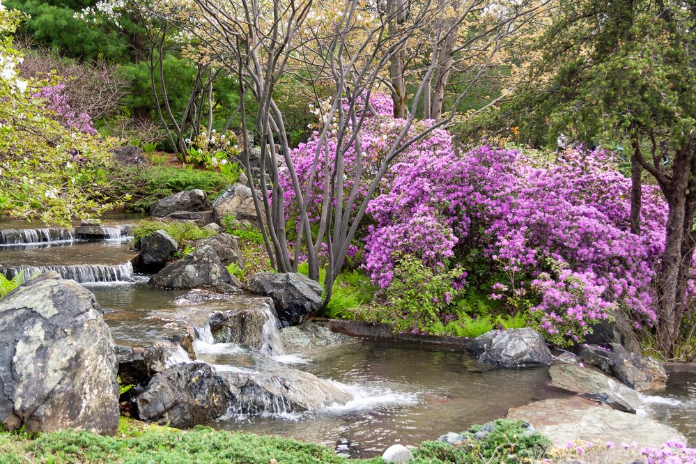 Фотография автора Denis Michelin