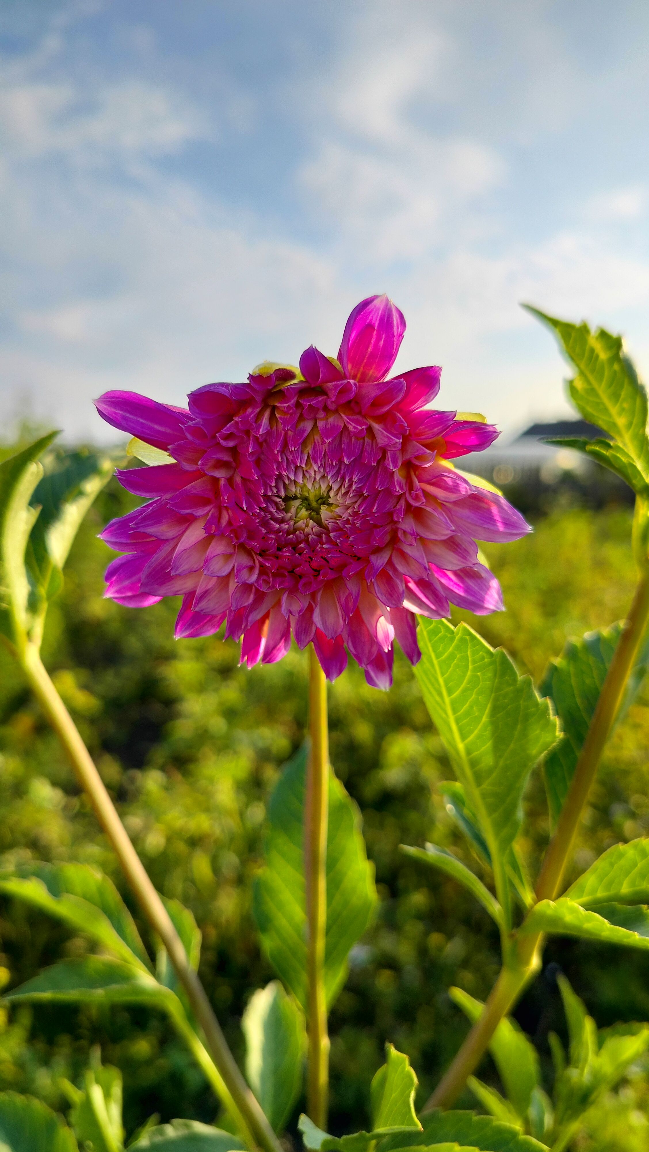 Photograph by Анастасия Горбачева