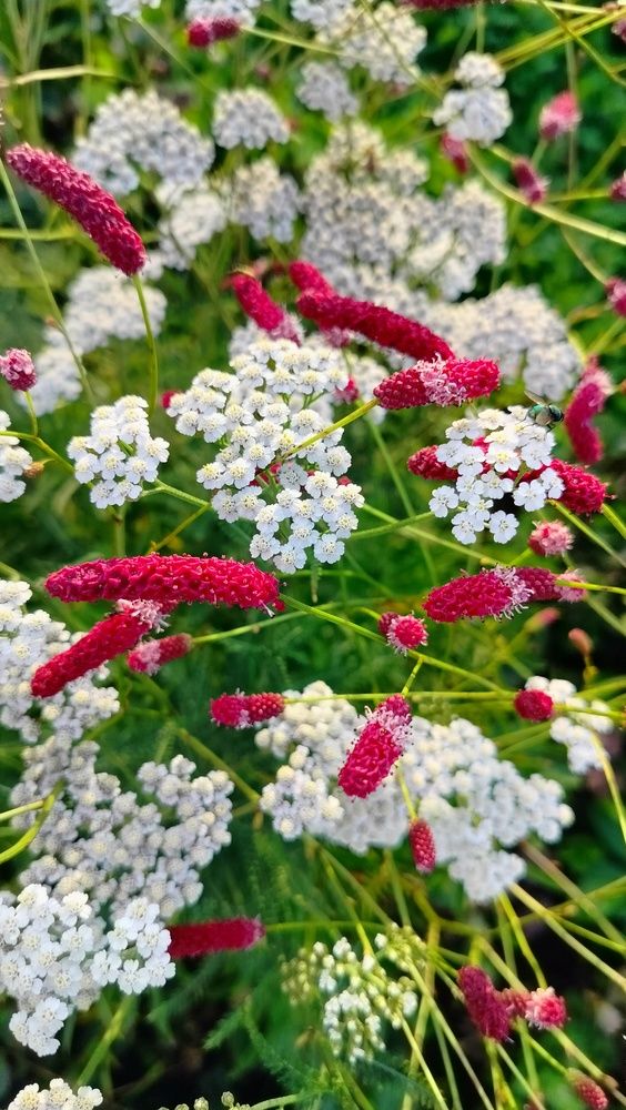 Photograph by Анастасия Горбачева