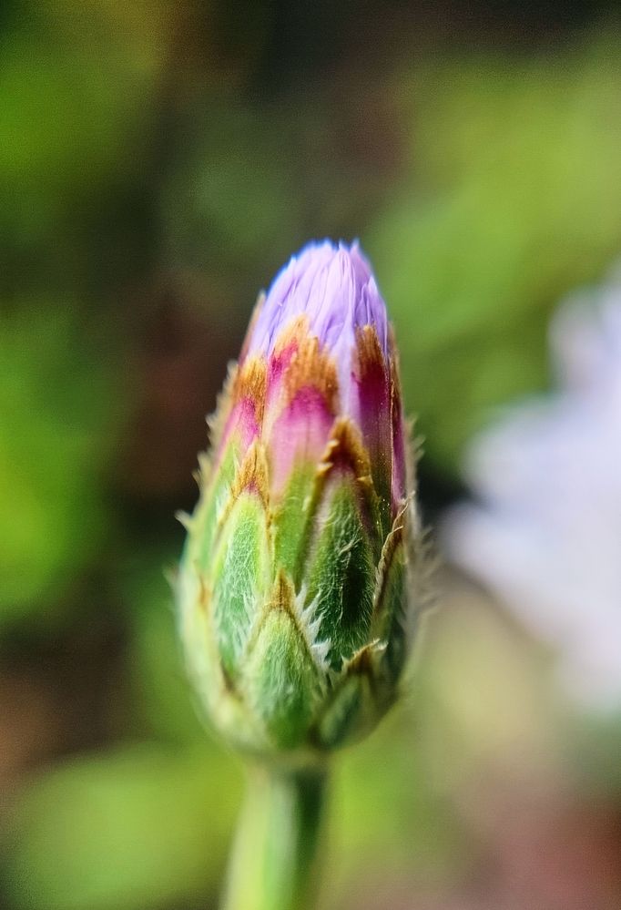 Photograph by Анастасия Горбачева