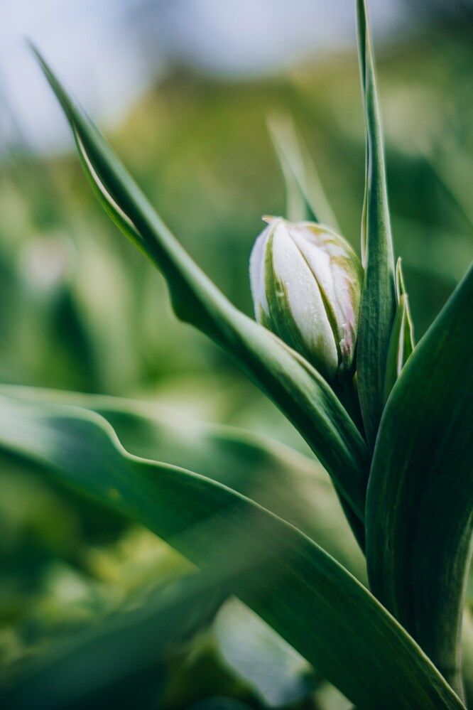 Photograph by Александра Кузуб