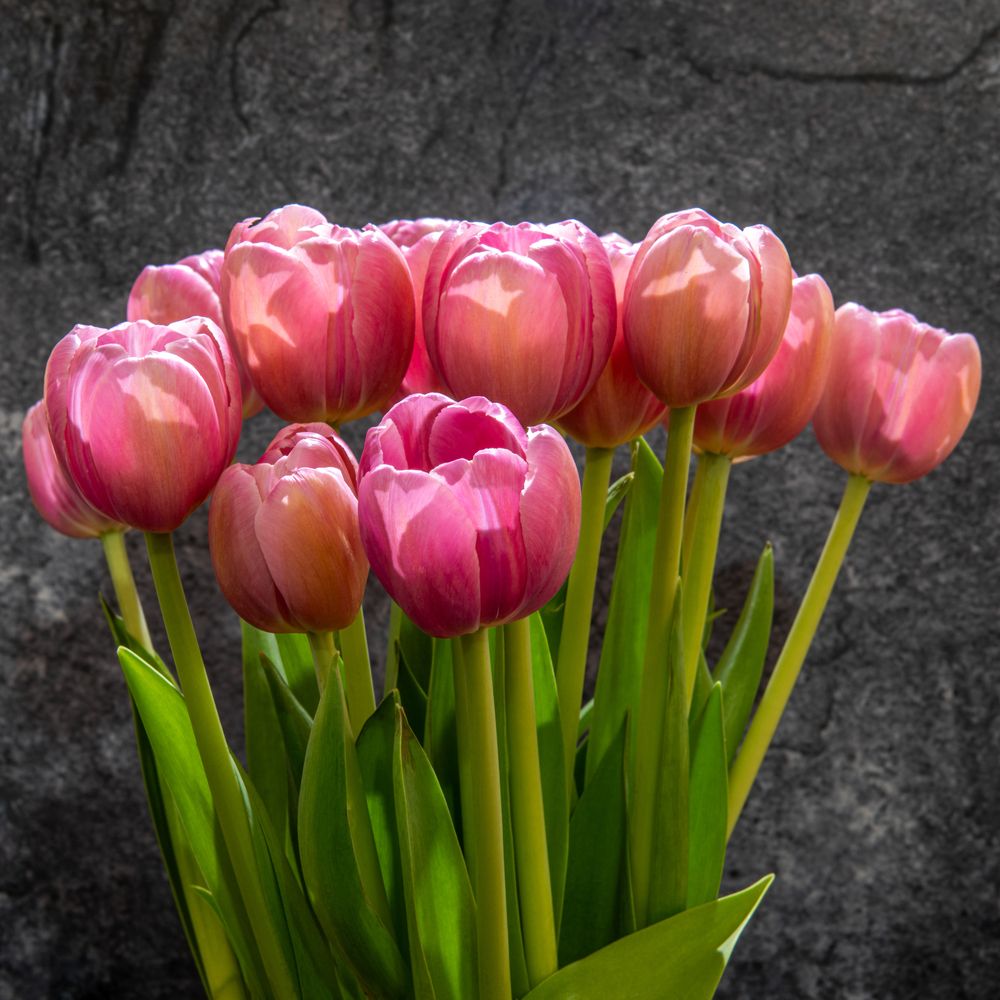 Photograph by Gustavo Bernal