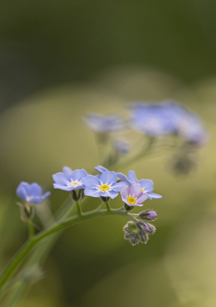 Photograph by Бурикова Екатерина