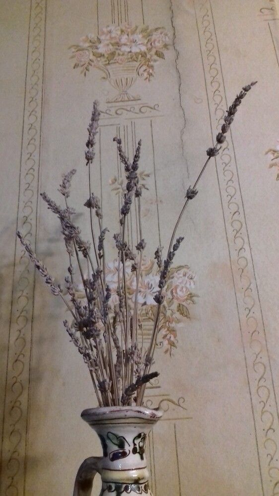 Photograph by Галина Петрушенко