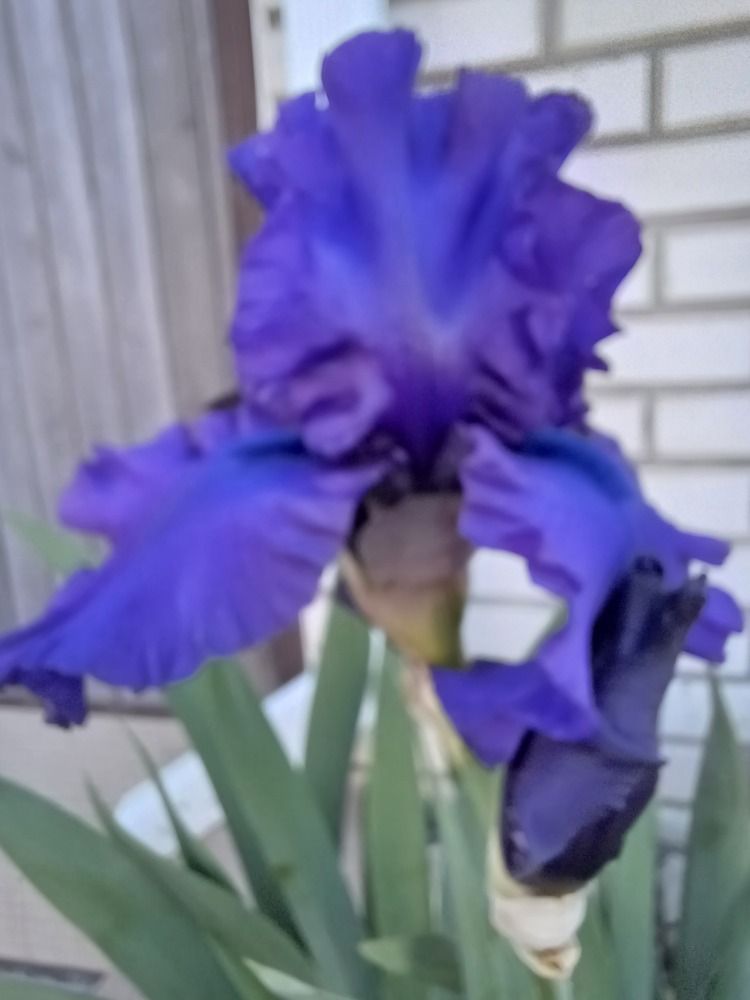 Photograph by Елена Казаренко