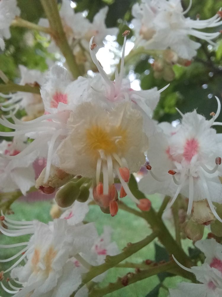 Photograph by Елена Казаренко