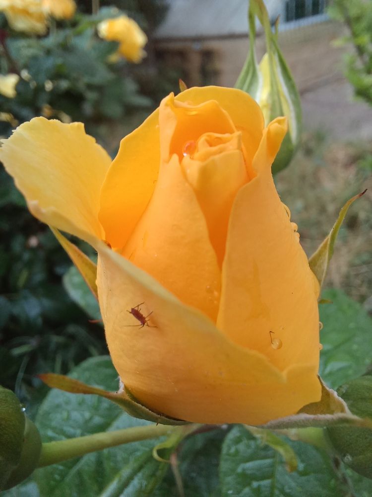 Photograph by Елена Казаренко