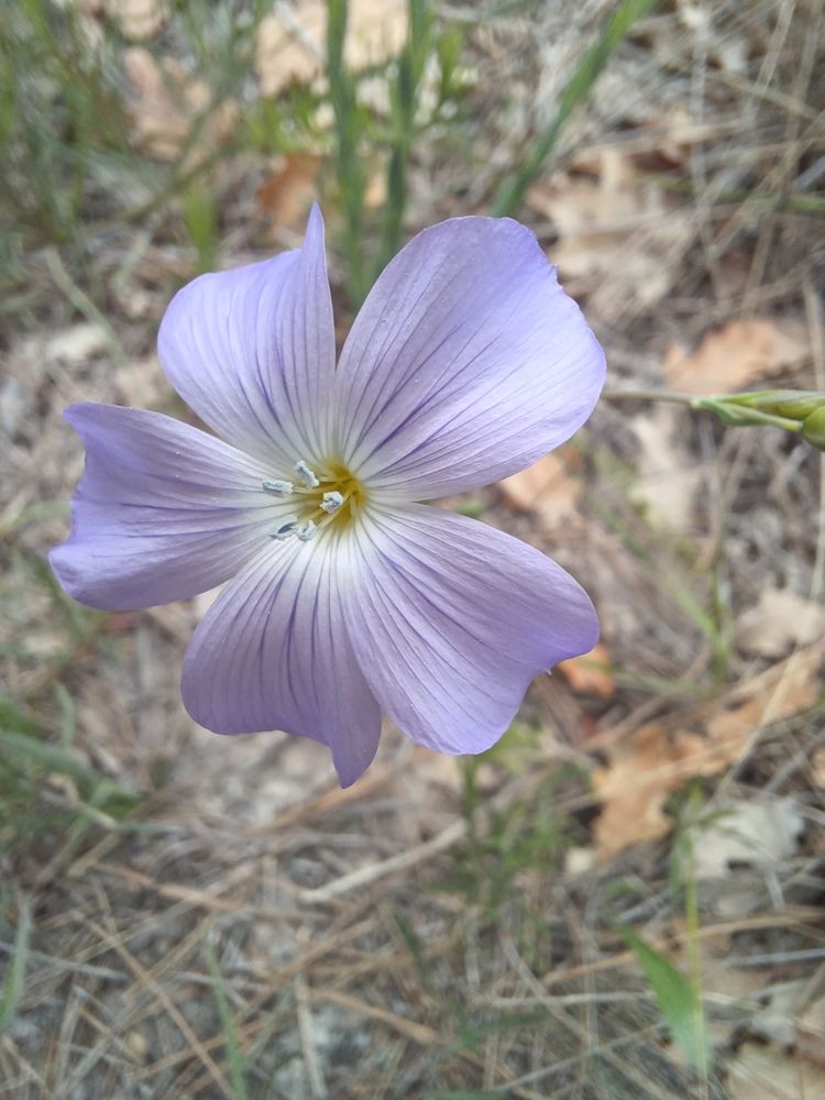 Photograph by Елена Казаренко