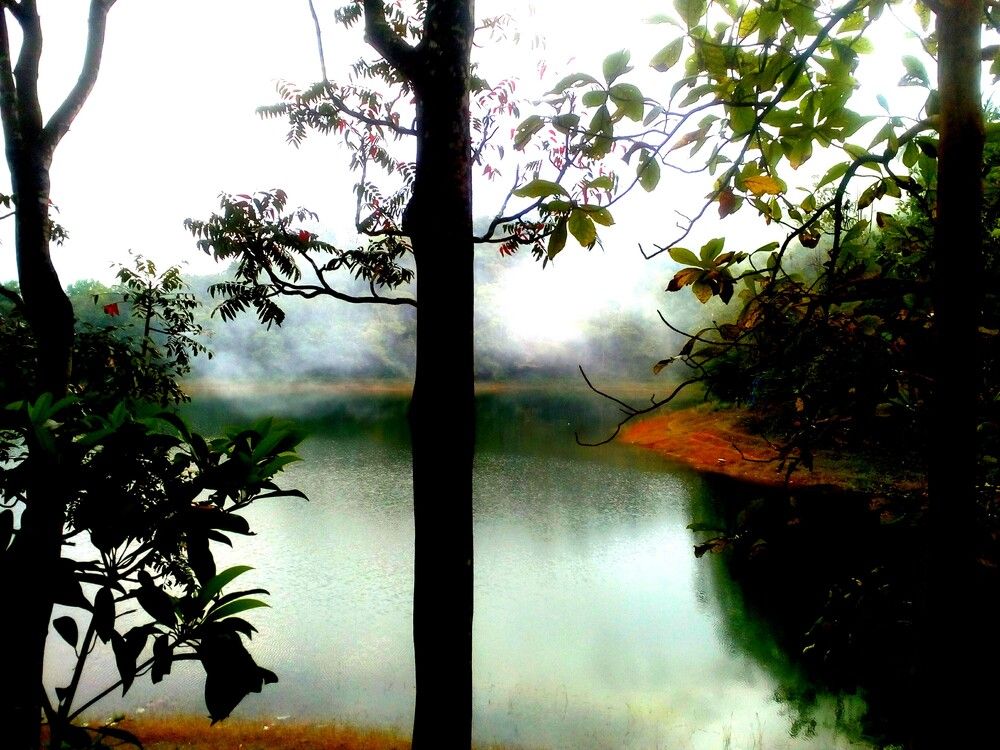 Photograph by Arathi kk