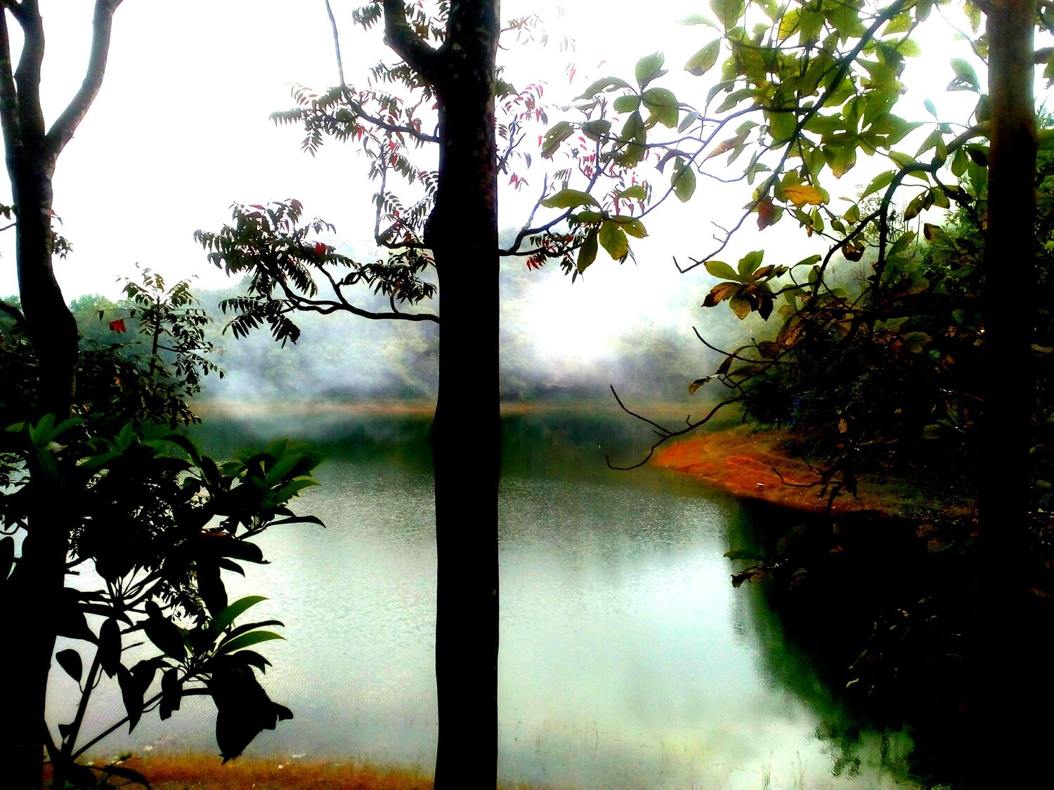 Photo #12494424