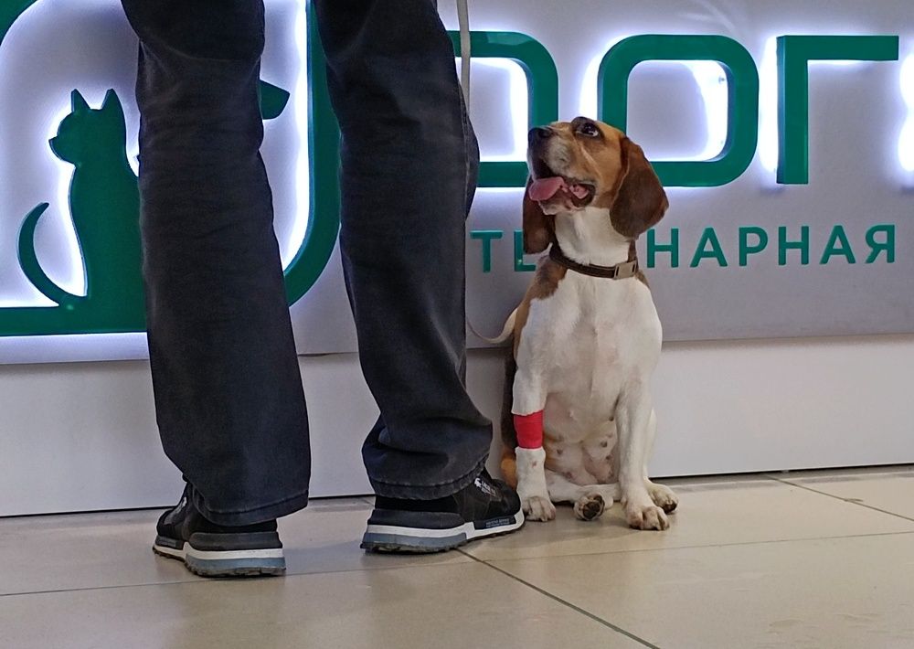 Photograph by Дамир Батряков