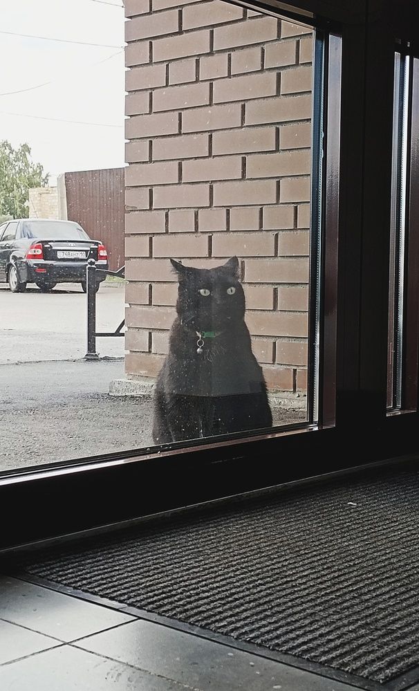 Photograph by Дамир Батряков