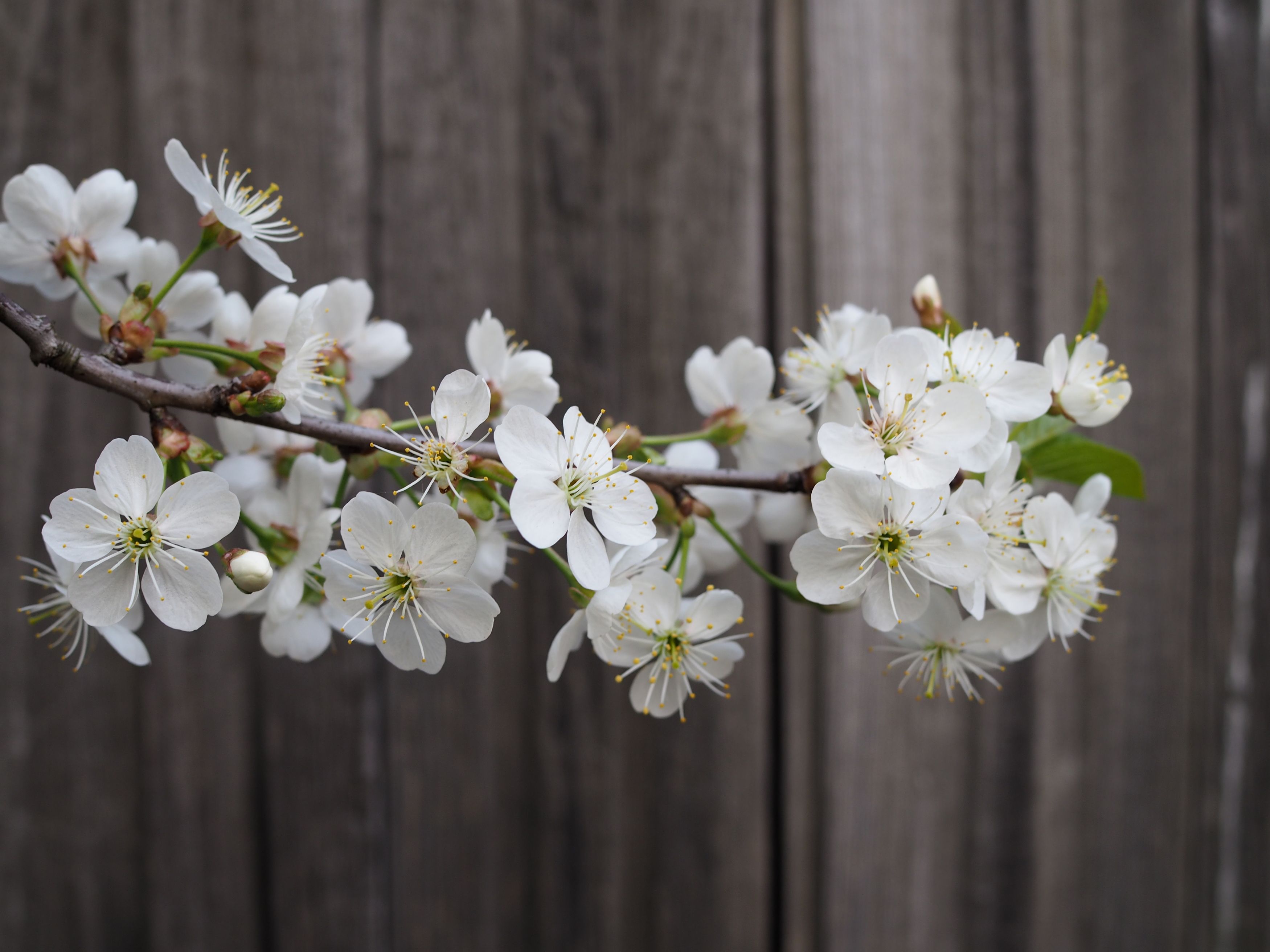 Photograph by Наталья Кирина