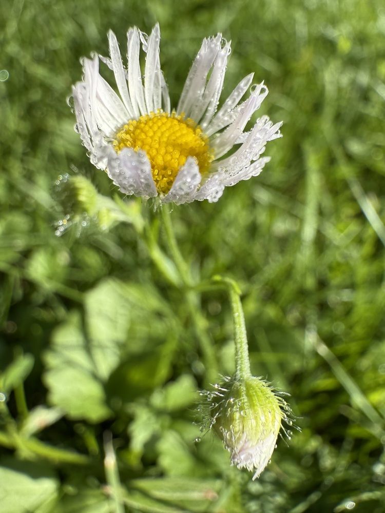Photograph by Анастасия Германова