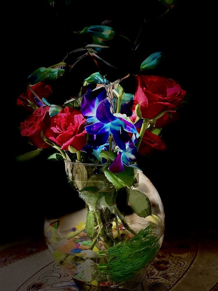 Photograph by Sharma Dr Megha