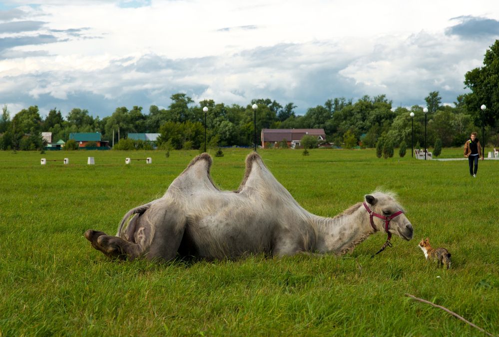 Photograph by Андрей Чуйков