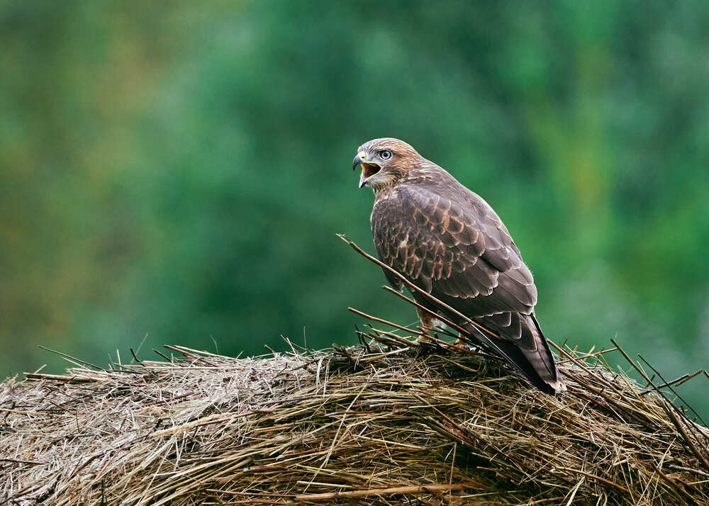 Photograph by Mikhail Khmelevskiy