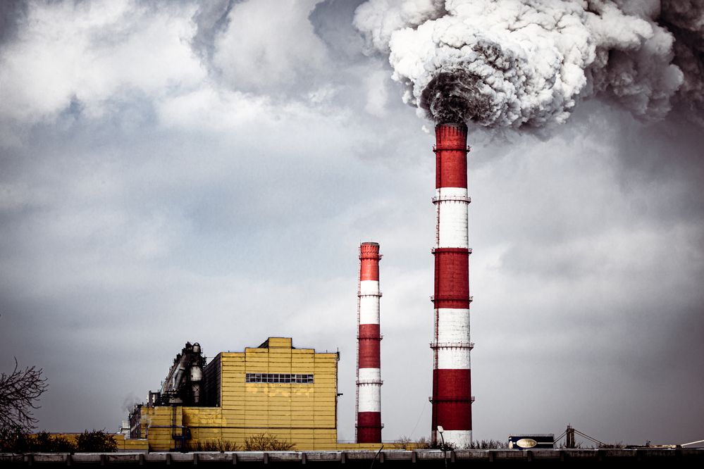 Photograph by Елена Берсенёва